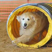 agility3