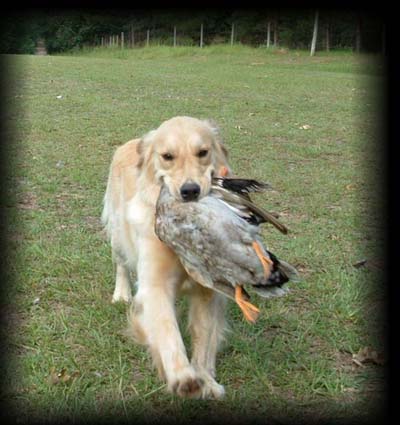brooke with duck